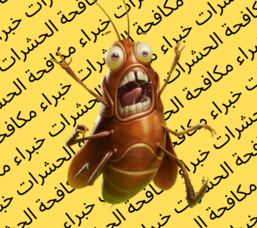 شركة مكافحة بق الفراش بجدة