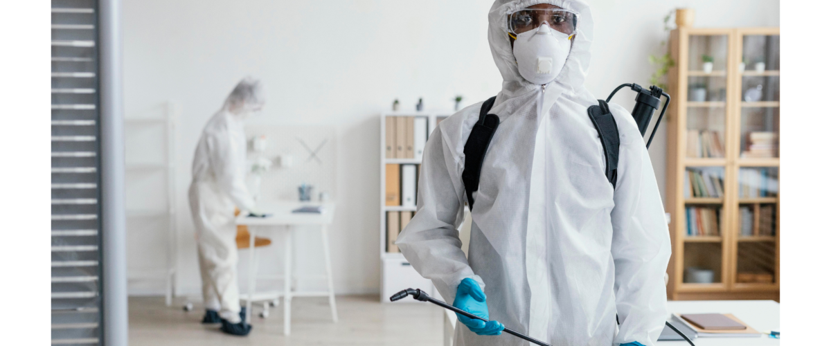 شركة مكافحة الحشرات بجدة والقضاء عليها نهائيا