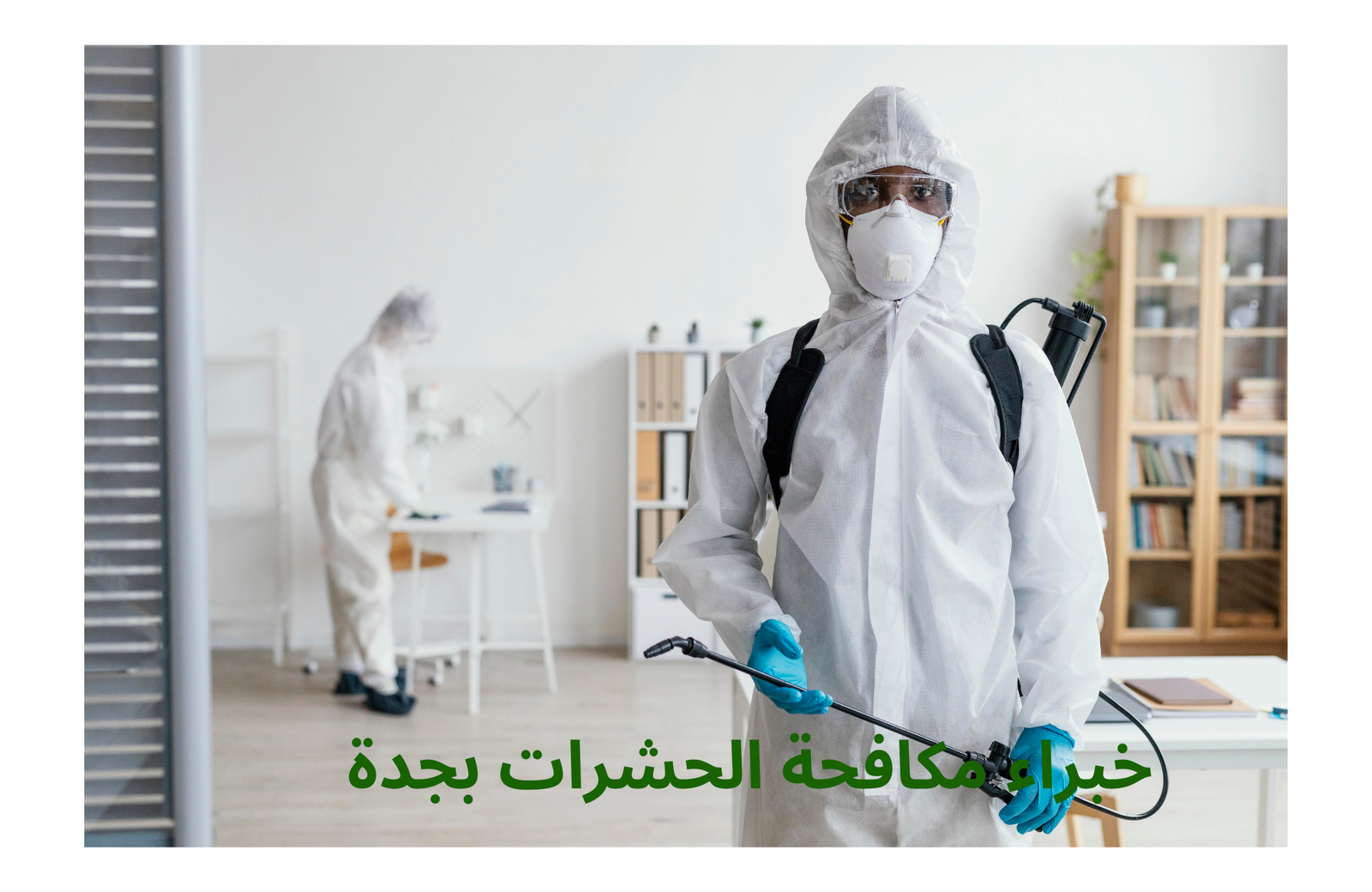 شركة مكافحة الحشرات بجدة والقضاء عليها نهائيا