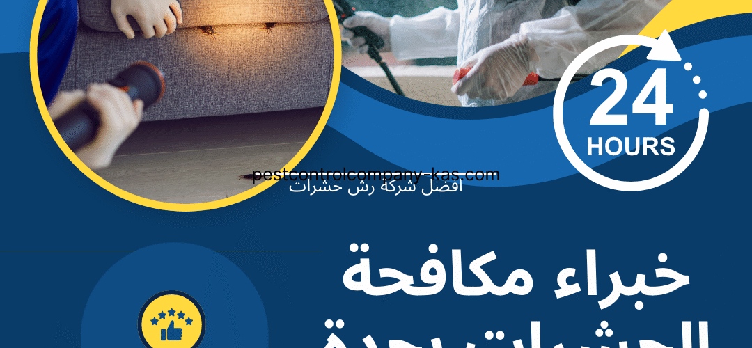 شركة مكافحة الصراصير والنمل والوزغ والفئران بجدة
